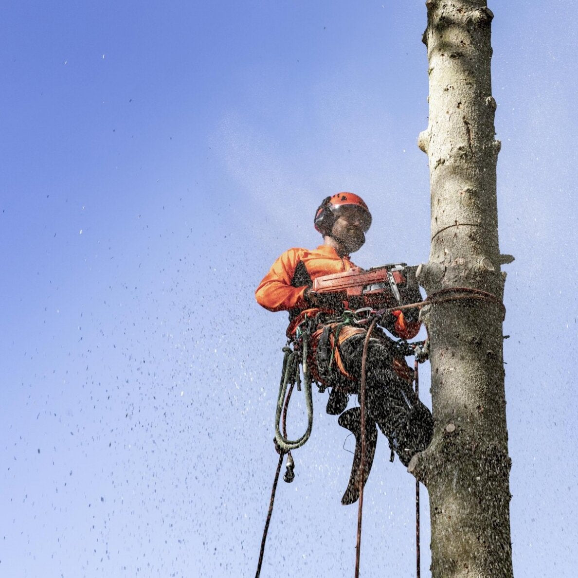 HUSQVARNA 545 MARK II